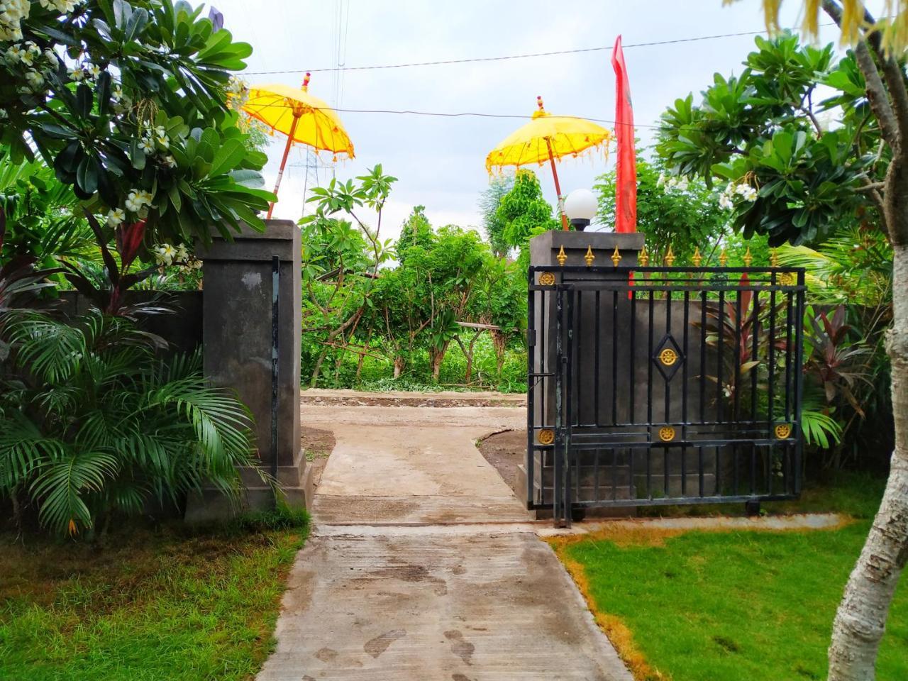 Angga Guest House Pemuteran Екстериор снимка